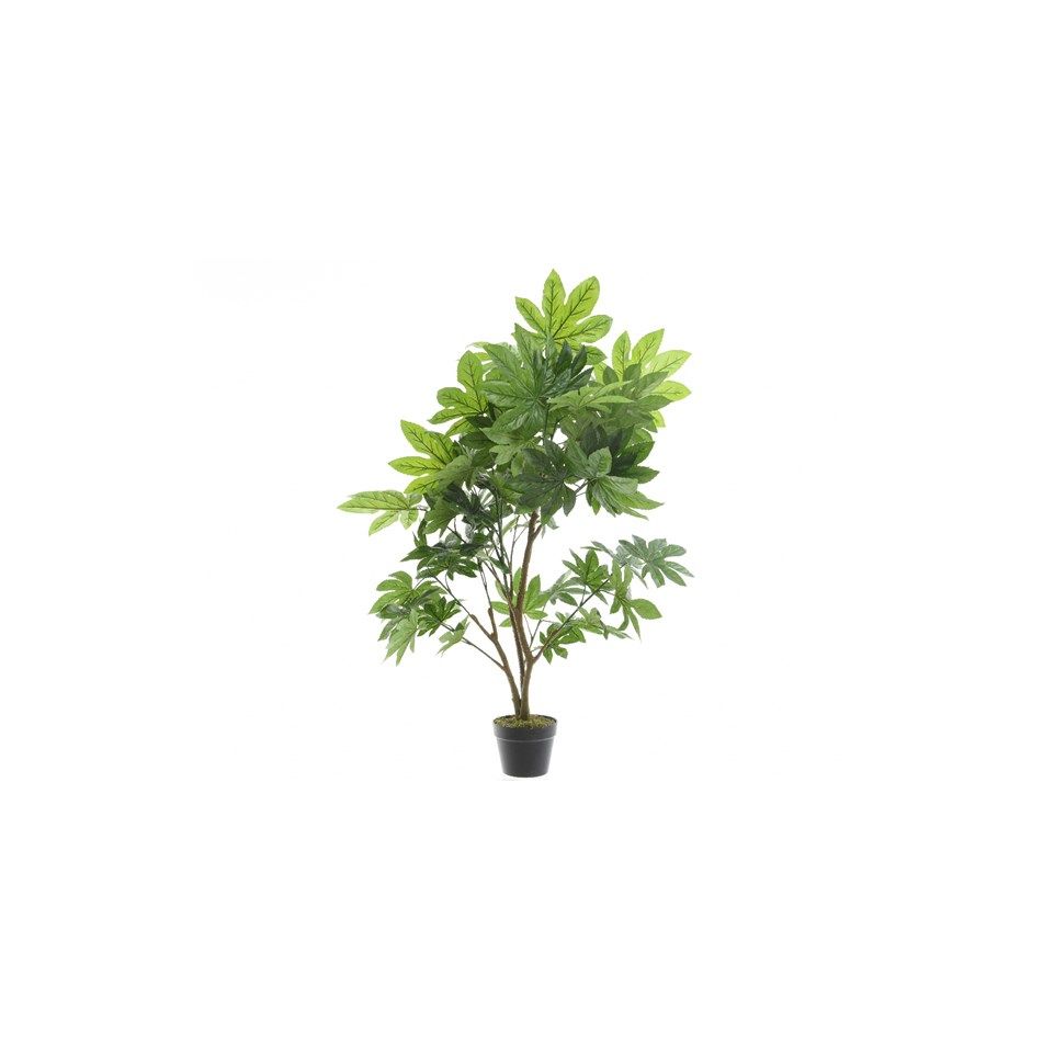 vaso-con-aralia-d-dot-90xh130cm