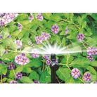 tubicini-elevatori-30cm-con-raccordino-10-pz