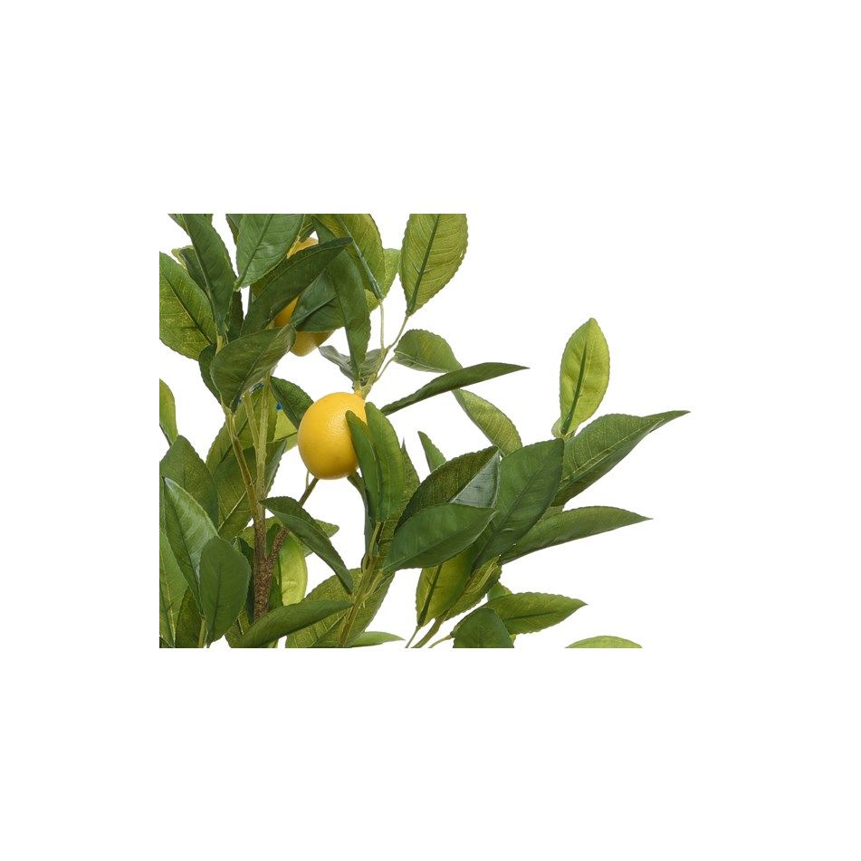 vaso-con-alberello-di-limone-d-dot-43xh92cm