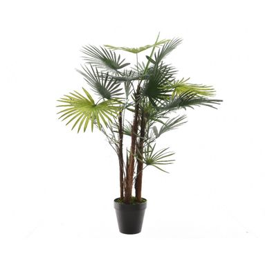 VASO CON PALMA FORTUNEI 70XH90CM
