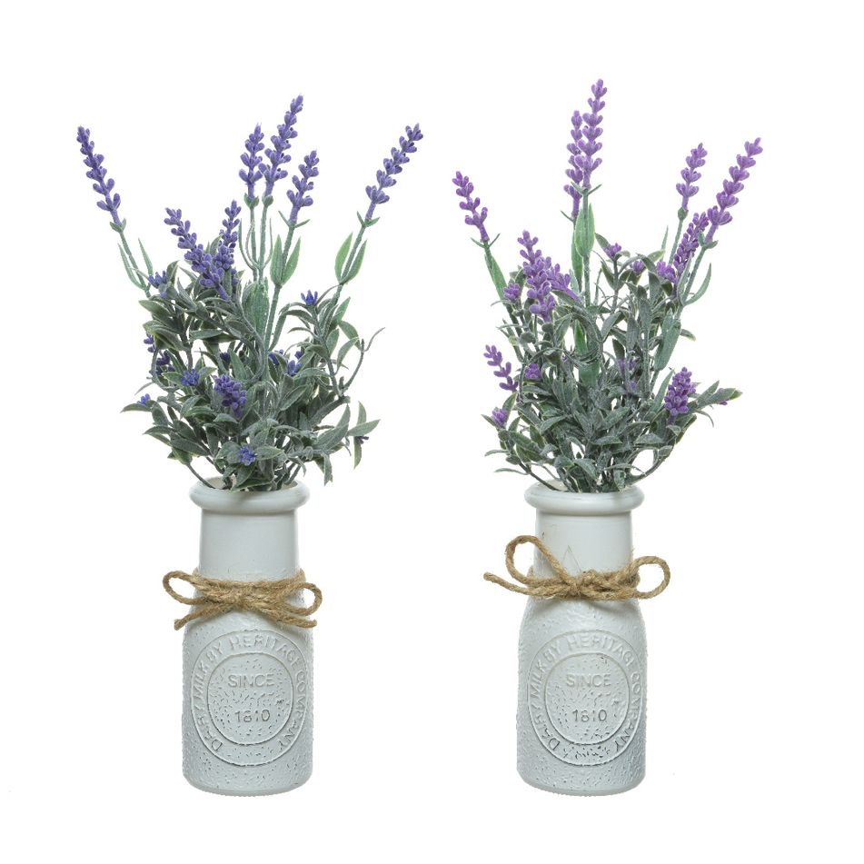 lavanda-h32cm-in-bottiglia-bianca