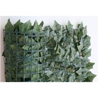 SIEPE SEMPREVERDE EDERA 1,5X3M