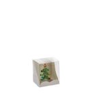 albero-55xh65cm-in-box-6-modelli