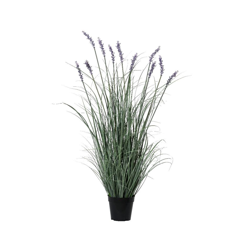 vaso-con-lavanda-30x30xh96cm-in-plastica