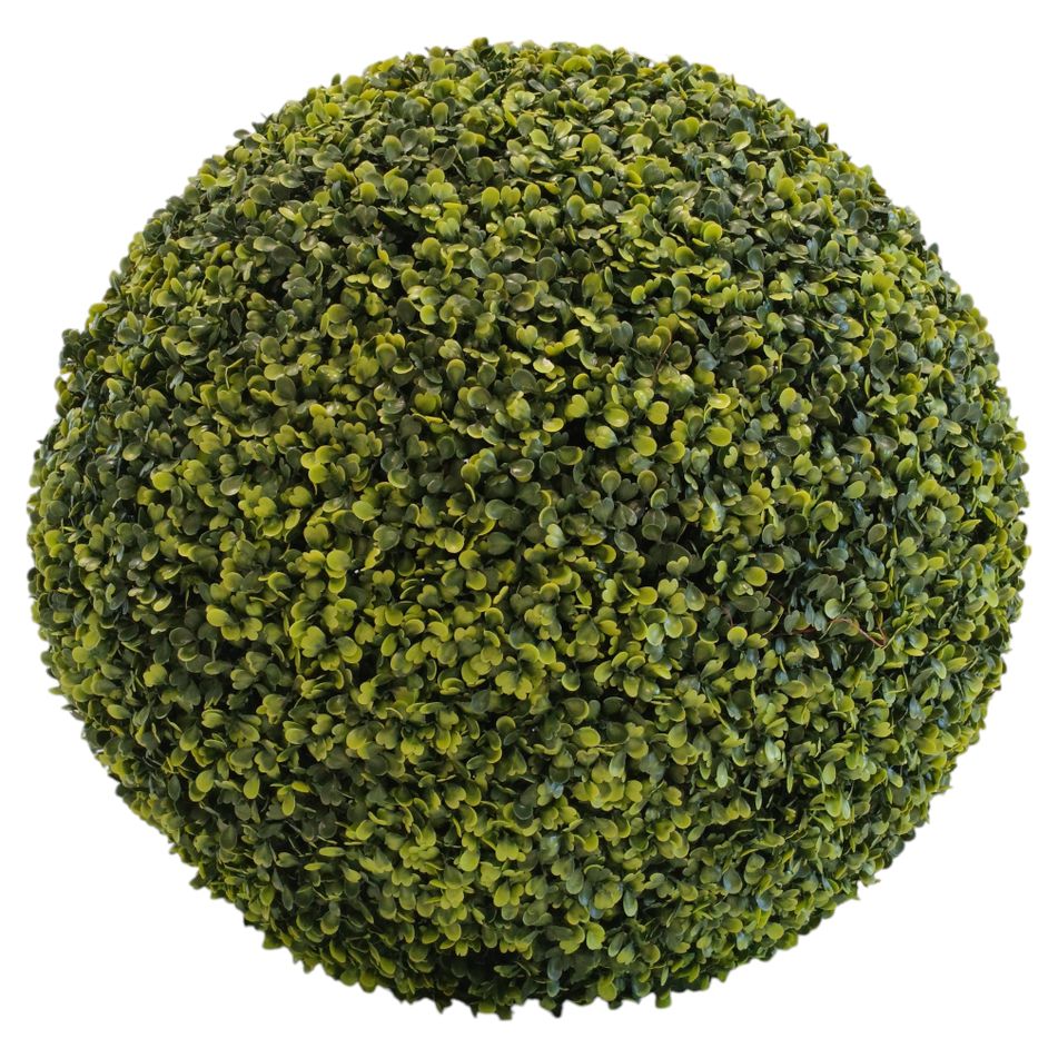 greenball-boxwood-d-dot-55cm-verde