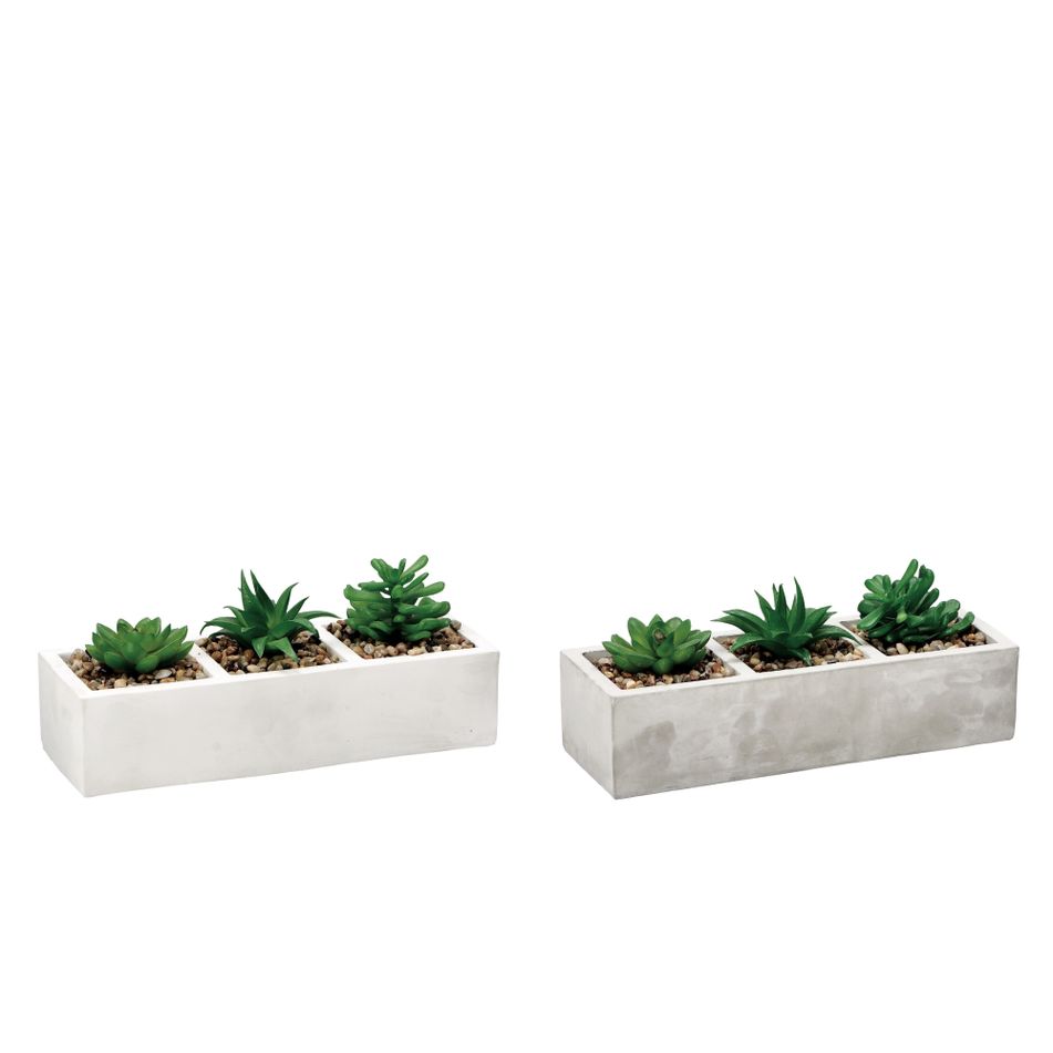 vaso-con-pianta-grassa-decorativa-26x10xh10cm-in-2