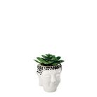 vaso-con-pianta-grassa-decorativa-d-dot-9xh13cm-in-2-c