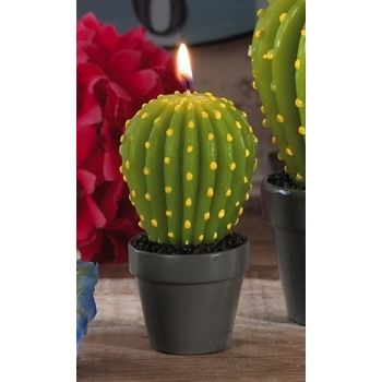 CAND M.CACTUS+VASO A2COL D5,5XH10,5