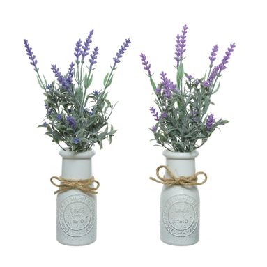 LAVANDA H32CM IN BOTTIGLIA BIANCA.