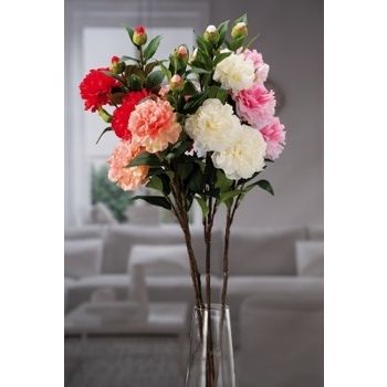 CAMELIA 3FIOR +2BOC X DEC CM86