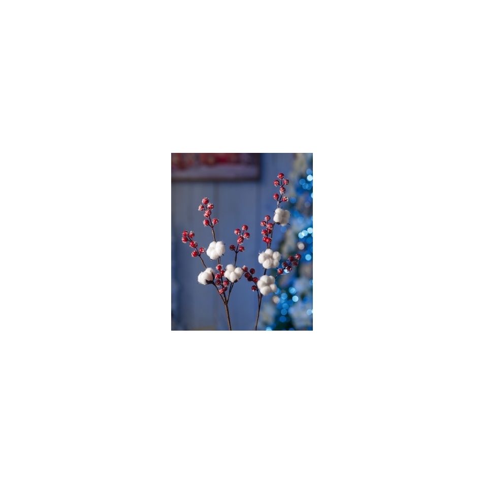 ramoscello-nat-bacche-plus-cot-a2m-cm62