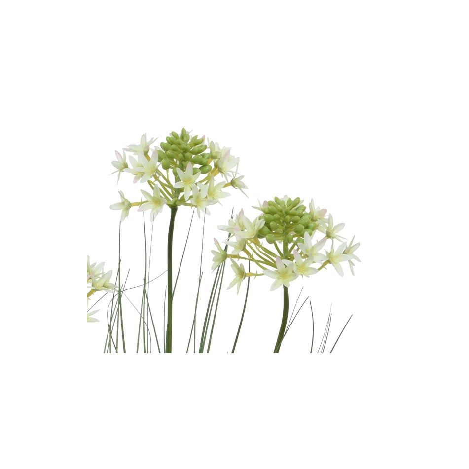 vaso-con-erba-e-fiori-d-dot-25xh60cm