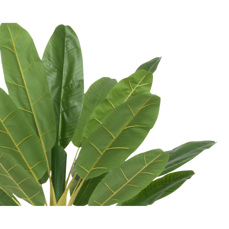 pianta-di-banano-120x120xh280cm-verde-con-vaso