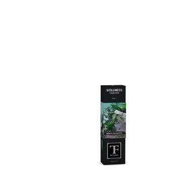 DIFFUSORE CON MIDOLLINI 100ML MENTA/EUCALIPTO