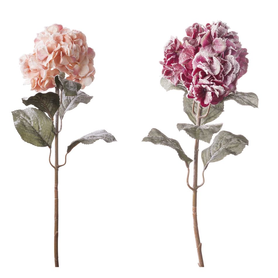 ortensia-innevata-cm85-rosa-slash-arancione