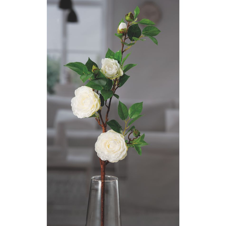 camelia-bianca-3-fiori-x-dec-cm75