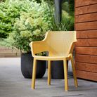 keter-sedia-elisa-54x61xh79cm-giallo-senape-in-resina