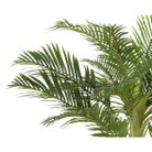 palma-in-vaso-110x90xh230cm-verde-in-poliestere