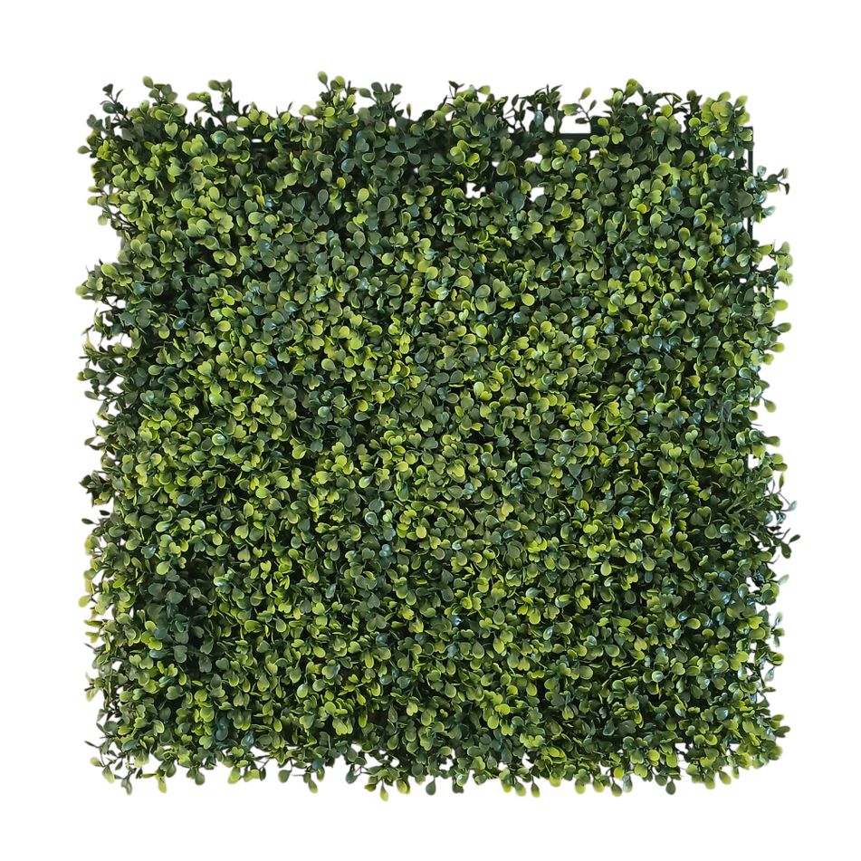siepe-artificiale-boxwood-50x50cm-verde-fissa