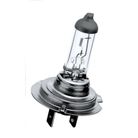 lampadina-auto-h7-12v-55w-philips-vision