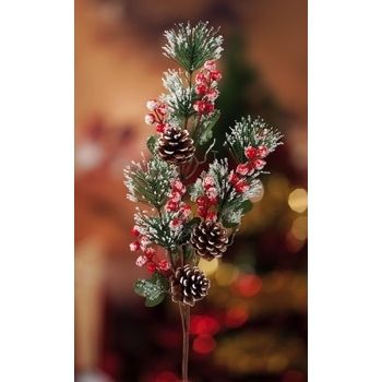 RAMOSCELLO INNEV NAT X DECO.