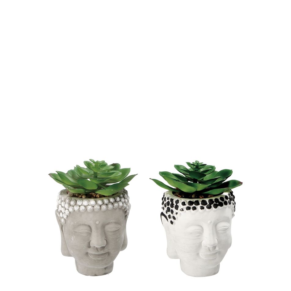 vaso-con-pianta-grassa-decorativa-d-dot-9xh13cm-in-2-c