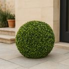 greenball-boxwood-d-dot-55cm-verde