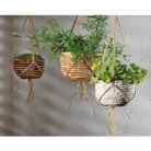 portavaso-sospeso-d-dot-31xh19cm-3-colori-ass