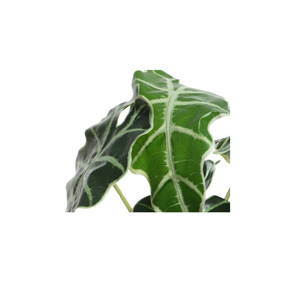 vaso-con-alocasia-d-dot-27xh50cm