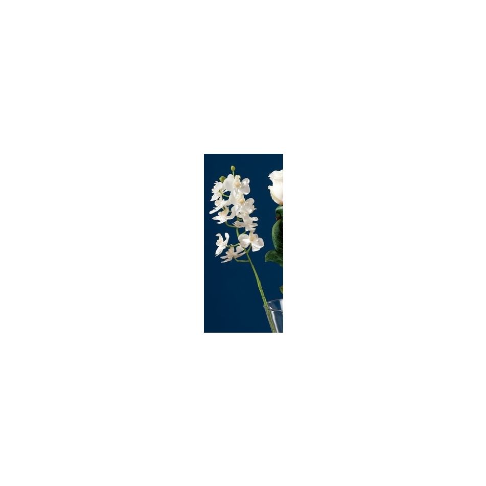 orchidea-bianca-10fiori-x-dec-cm63