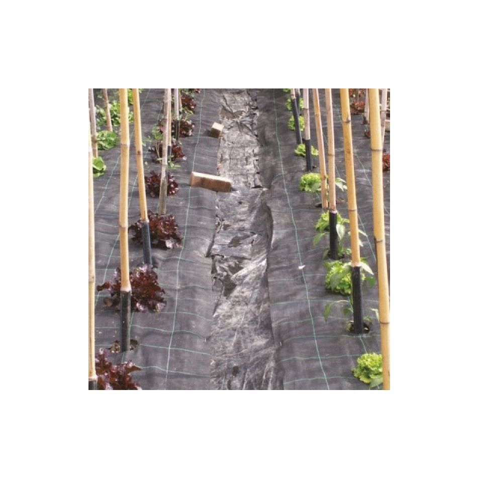 tessuto-pacciamatura-verde-h100cm-10m-con-quadro-v