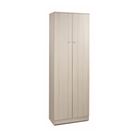 mobile-2-ante-kit-62x34xh182cm-struttura-olmo-chiaro-frontale-olmo-chiaro