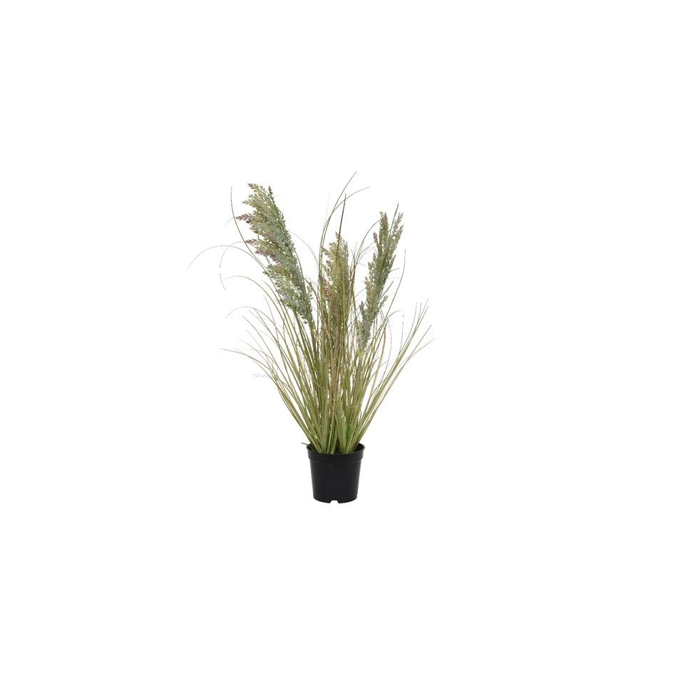 vaso-con-erba-d-dot-25xh60cm