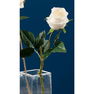 ROSA BIANCA X DECORAZIONE CM39