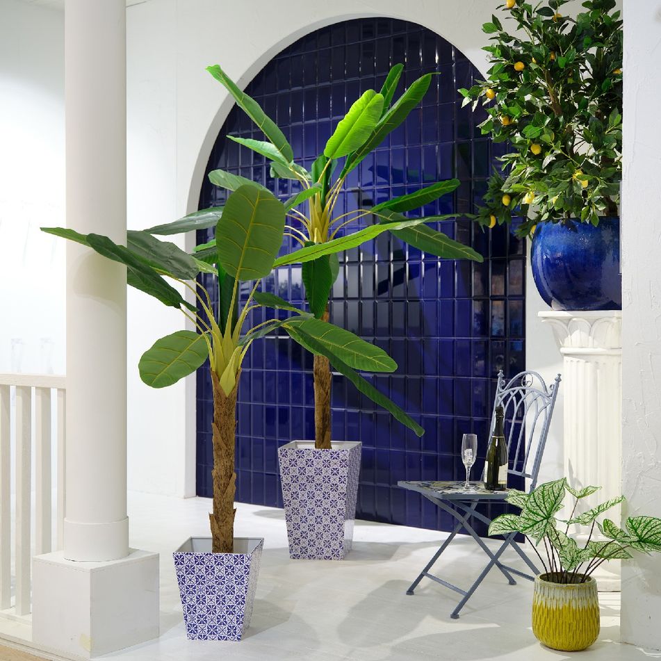 vaso-con-banano-120x100xh230cm