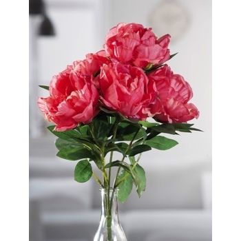 BOUQUET PEONIE 5FIO X DEC 4C CM43