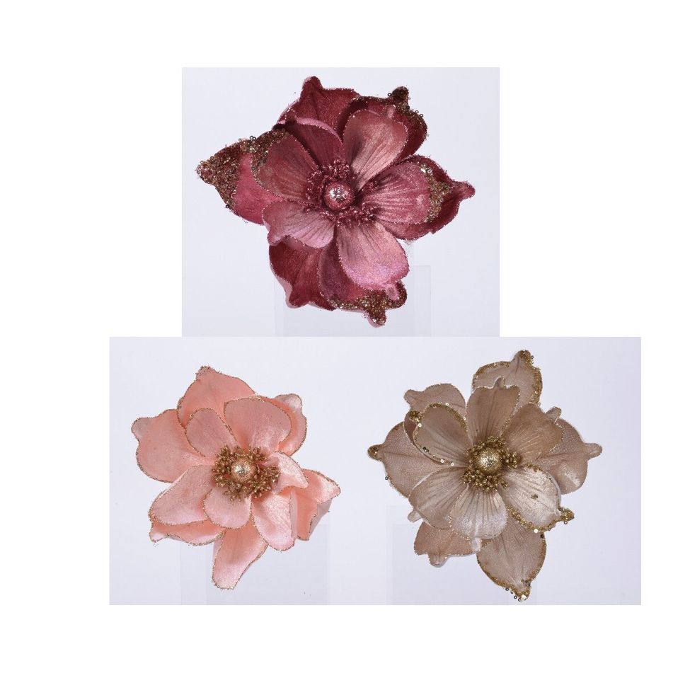 magnolia-rosa-slash-champagne-slash-fuxia-22cm