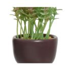 vaso-omino-con-pianta-7x9xh14cm-4colori-assortiti