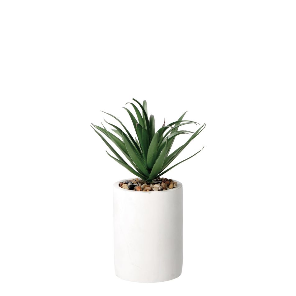 vaso-con-pianta-grassa-decorativa-d-dot-9xh22cm-in-2-c