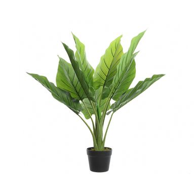 VASO CON STERLIZIA H74CM