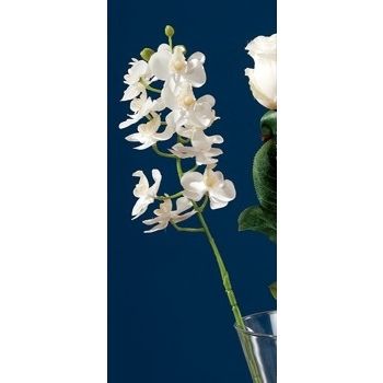 ORCHIDEA BIANCA 10FIORI X DEC CM63