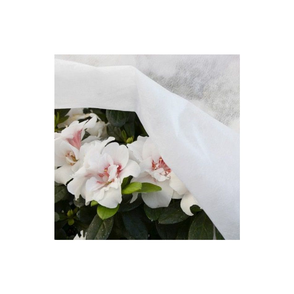 tessuto-tnt-h160cm-10m-bianco-17gr