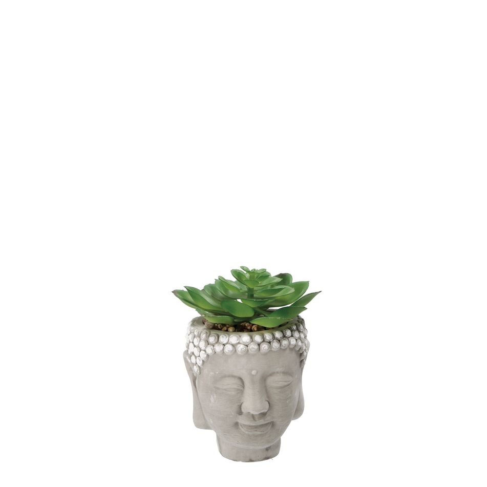 vaso-con-pianta-grassa-decorativa-d-dot-9xh13cm-in-2-c
