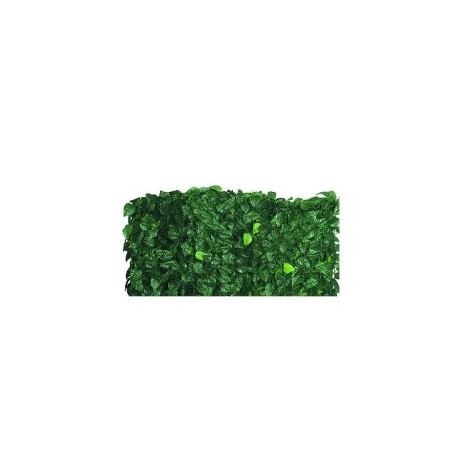 siepe-sempreverde-lauro-con-rete-1x3m