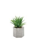 vaso-con-pianta-grassa-decorativa-d-dot-10xh18cm-in-2