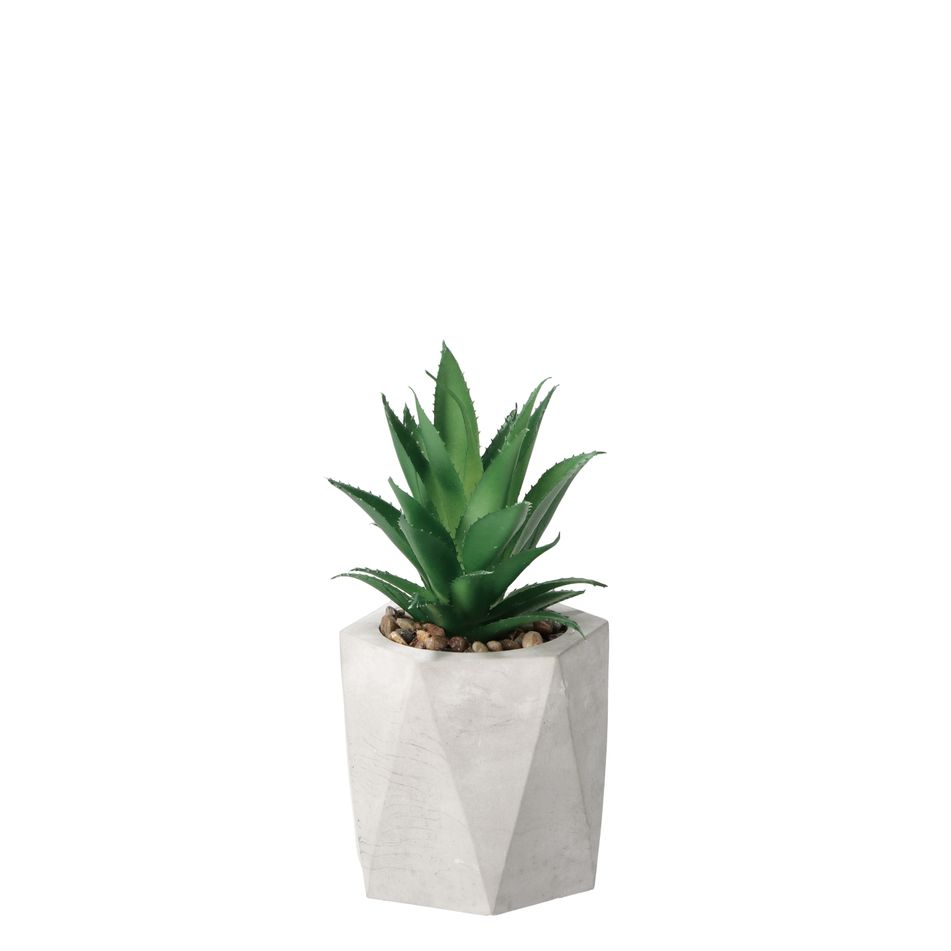 vaso-con-pianta-grassa-decorativa-d-dot-9xh19cm-in-2-c