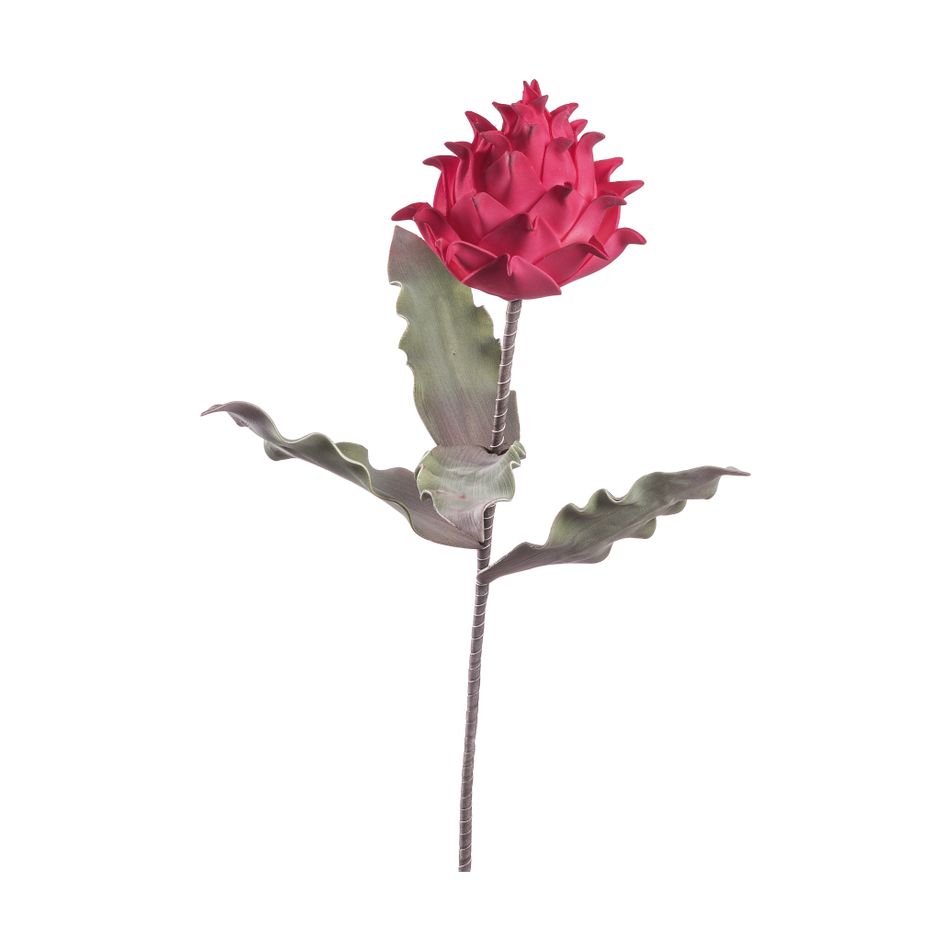 protea-prince-decorativa-80cm-in-4-colori
