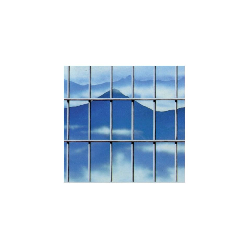 rete-zincata-square-h200cm-25m-con-maglia-elettros