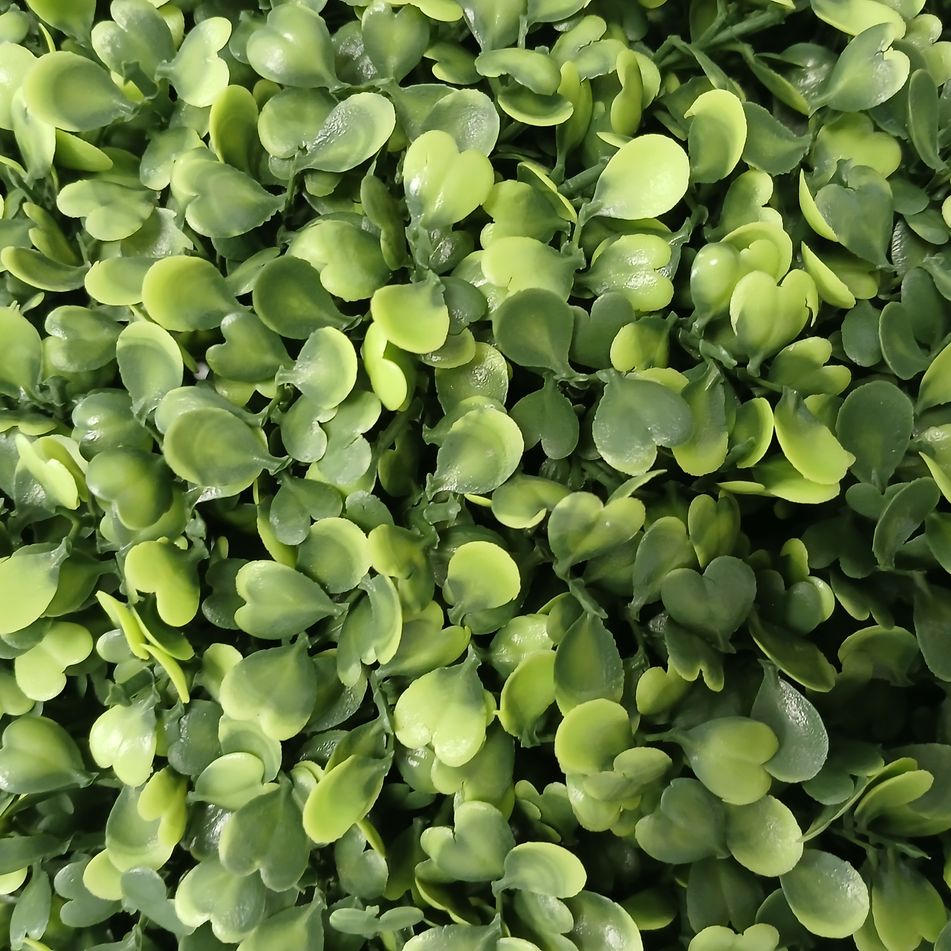 greenball-boxwood-d-dot-55cm-verde