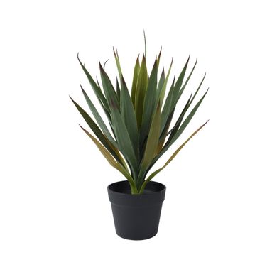 VASO CON YUCCA DI AGAVE D.48XH55CM IN PLASTICA.